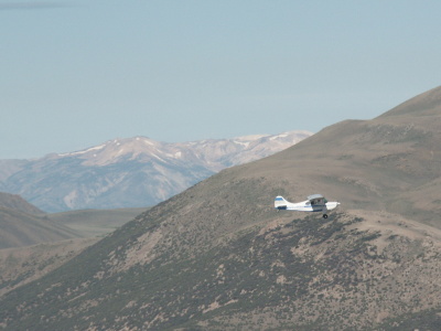Grass Landing Strip with planes parked on side